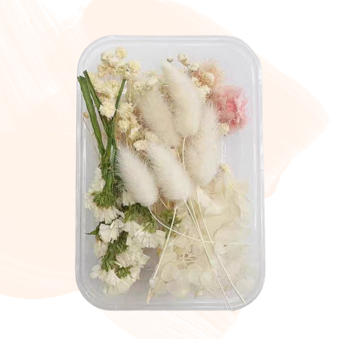 永生花材料|粉紅白綠色系