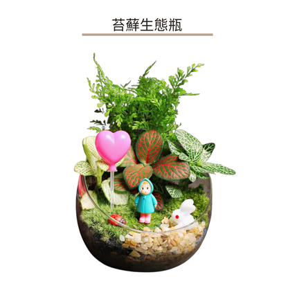 苔蘚生態瓶DIY材料包|下雨天小梅與小兔子