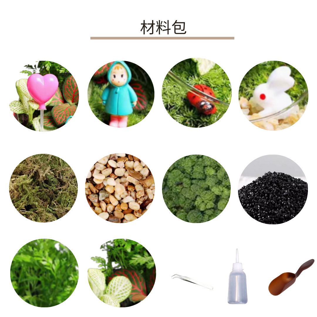 苔蘚生態瓶DIY材料包|下雨天小梅與小兔子