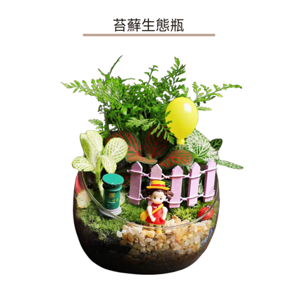 苔蘚生態瓶DIY材料包|小梅花園