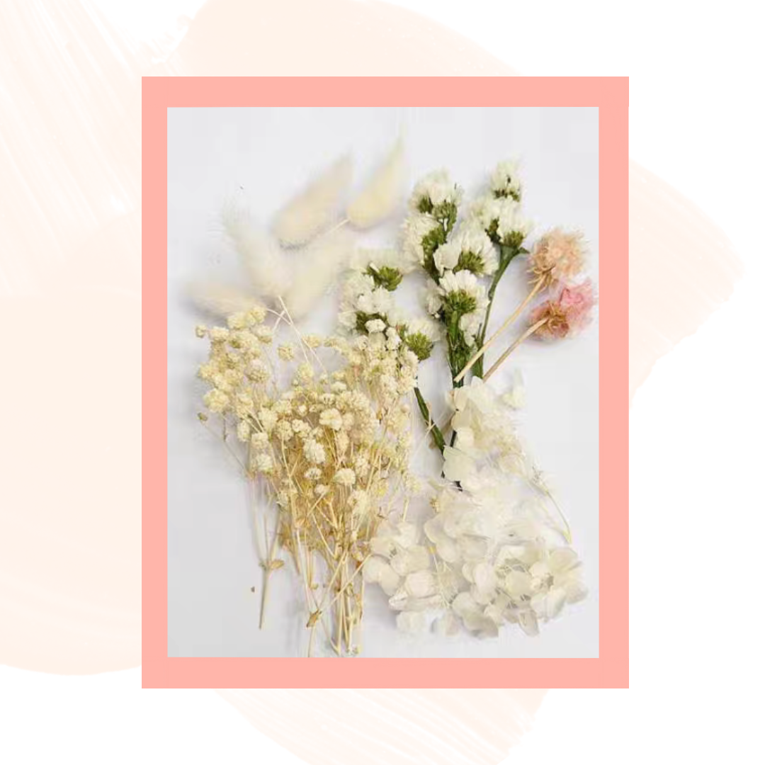 永生花材料|粉紅白綠色系