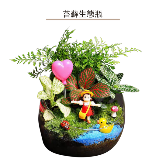 苔蘚生態瓶DIY材料包|小梅河邊