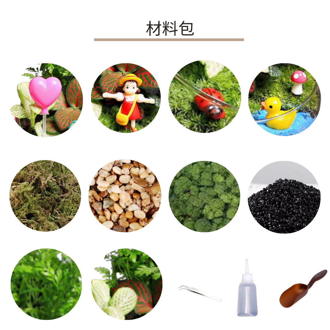 苔蘚生態瓶DIY材料包|小梅河邊