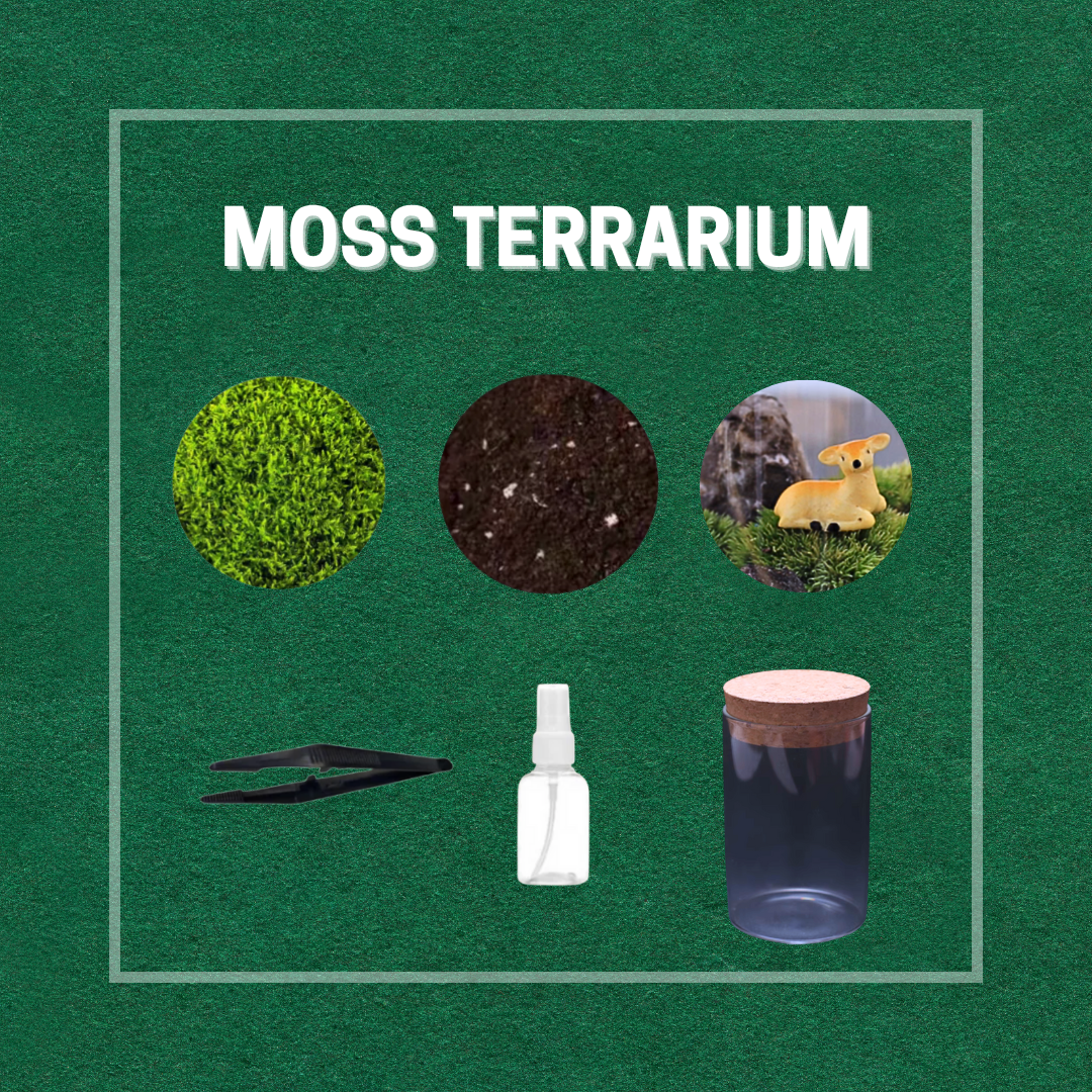 Moss Eco-Bottle DIY Material Kit | Garden and Flower Garden