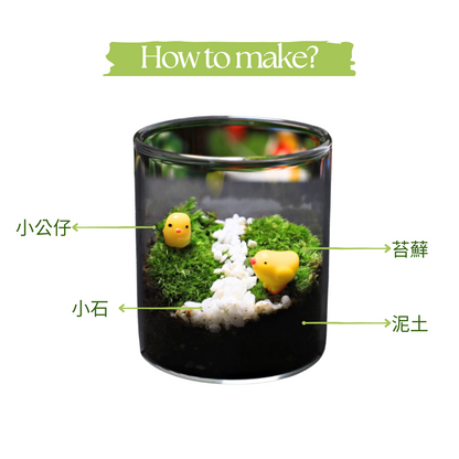 Night Light Preserved Flower Glass Ball Workshop