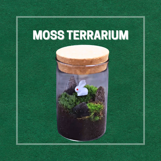 Moss Eco-Bottle DIY Material Kit | Garden and Flower Garden