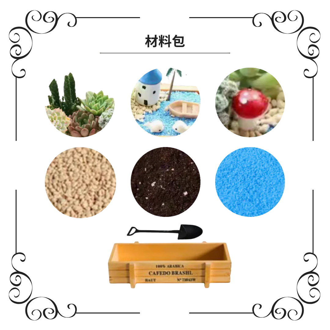 Succulent plant potted plants|Little whale by the sea