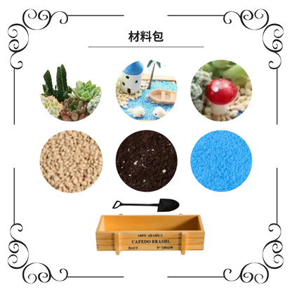 Succulent plant potted plants|Little whale by the sea