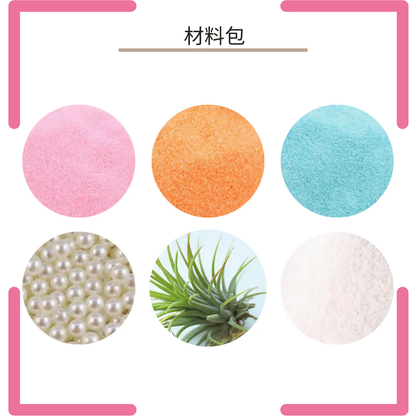 微景觀盆栽|鳳梨植物|粉藍橙粉紅白