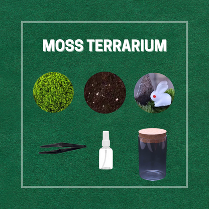 Moss Eco-Bottle DIY Material Kit | Garden and Flower Garden