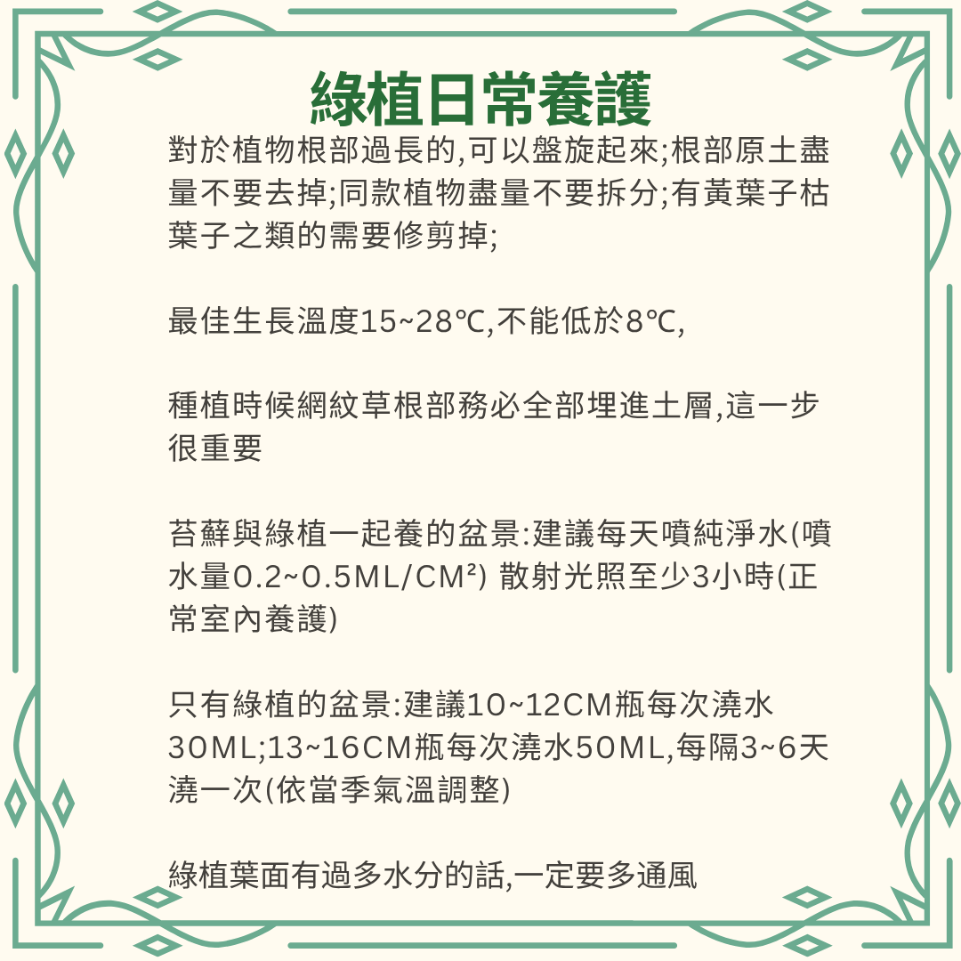 Moss Eco-Bottle DIY Material Kit | Rainy Day Xiaomei and the Bunny