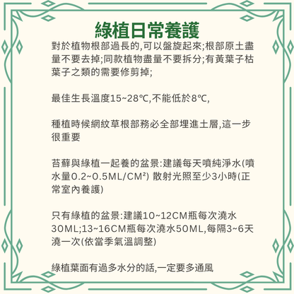 Moss Eco-Bottle DIY Material Kit | Rainy Day Xiaomei and the Bunny