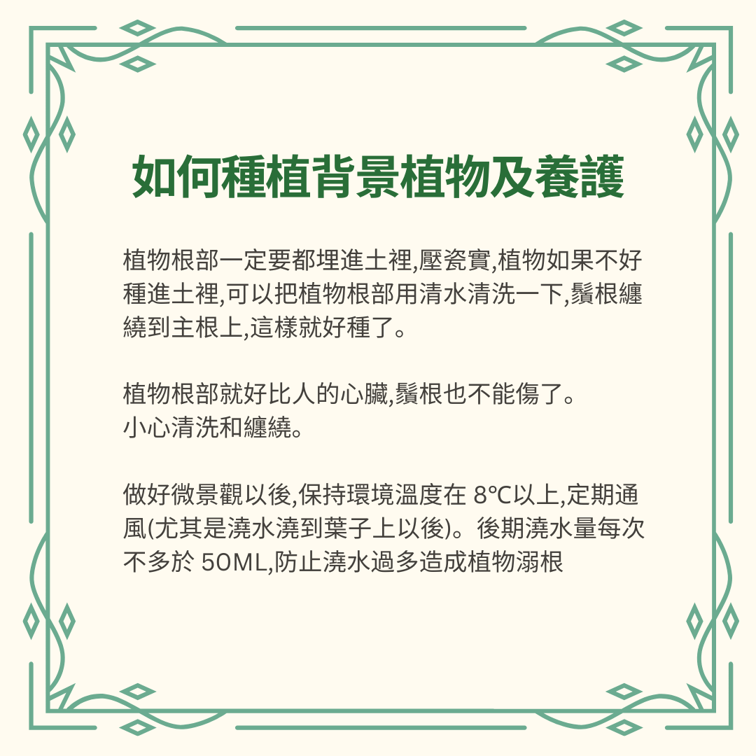 Moss Eco-Bottle DIY Material Kit | Xiaomei Garden