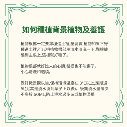 Moss Eco-Bottle DIY Material Kit | Xiaomei Garden