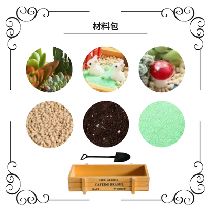 Succulent Plants | Bunny Garden