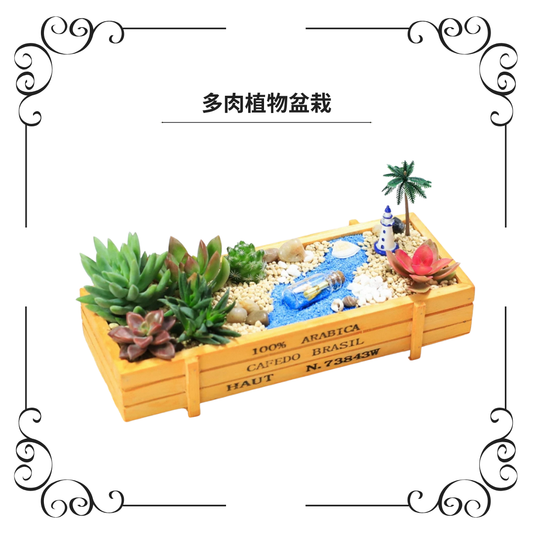 多肉植物盆栽|漂流瓶