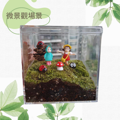 苔蘚微景觀場景DIY材料包|小梅與煤碳屎鬼