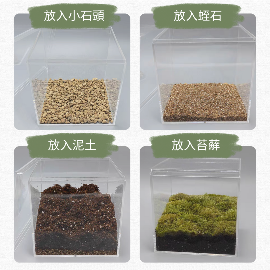 苔蘚微景觀場景DIY材料包|正方形盒子|龍貓與煤碳屎鬼