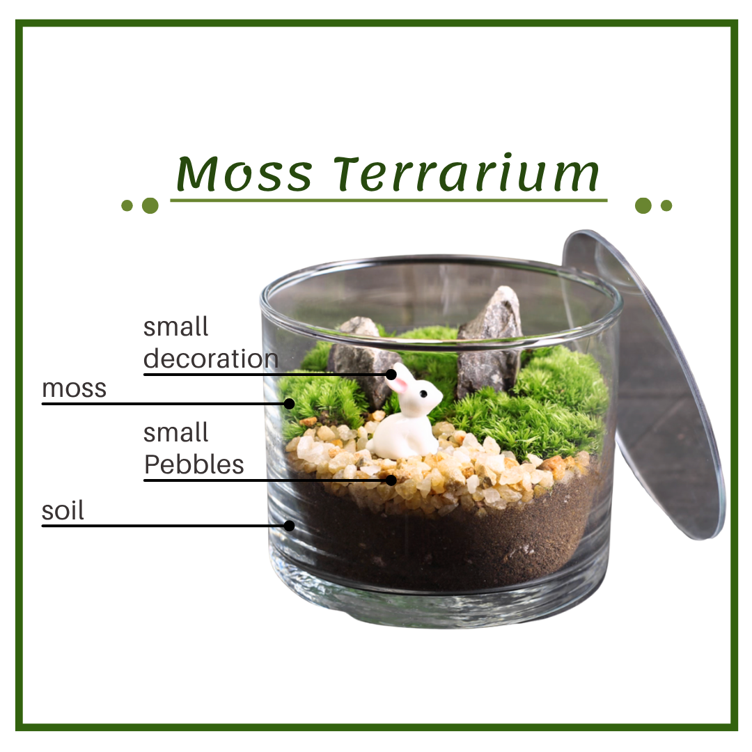 Night Light Preserved Flower Glass Ball Workshop