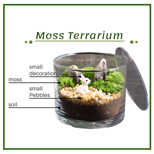 Moss Eco-Bottle DIY Material Kit | Riverside Fish
