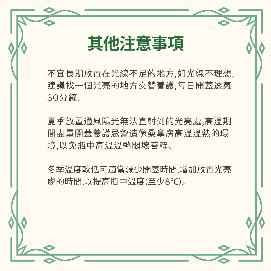 Moss Eco-Bottle DIY Material Kit | Rainy Day Xiaomei and the Bunny