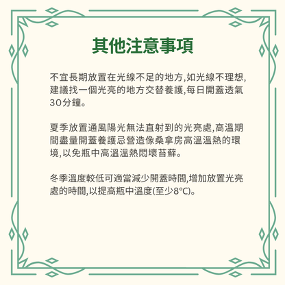 Moss Eco-Bottle DIY Material Kit | Rainy Day Xiaomei and the Bunny