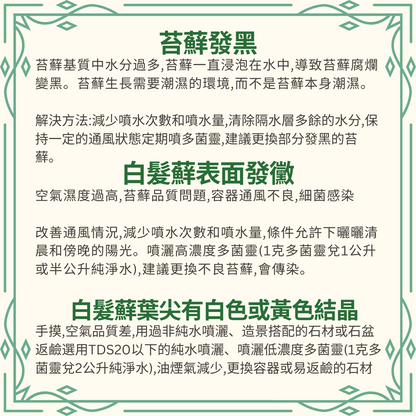 Moss Eco-Bottle DIY Material Kit | Xiaomei Garden