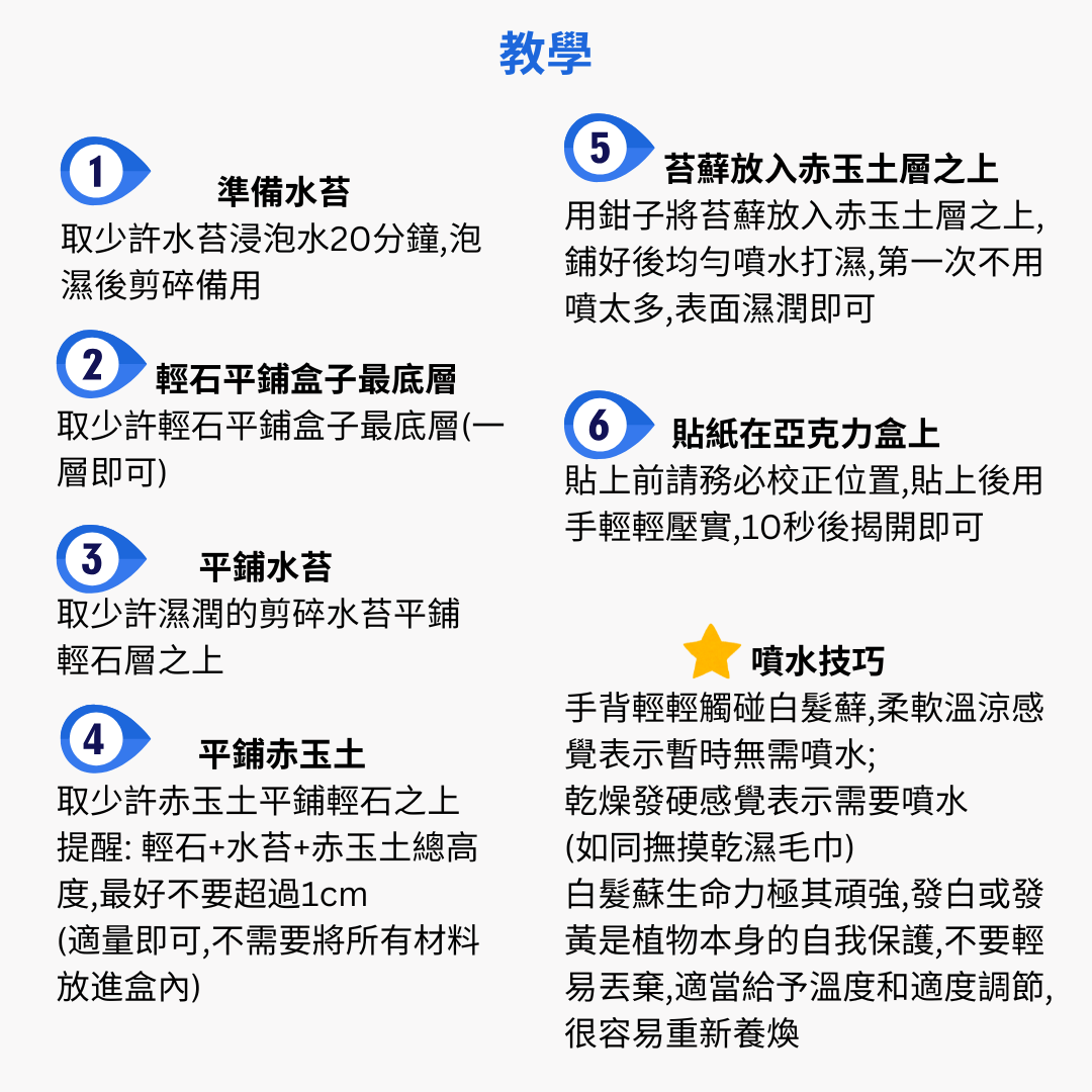 Moss micro-landscape DIY material package | square box | Totoro and coal dung ghost