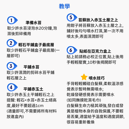 Moss micro-landscape DIY material package | square box | Totoro and coal dung ghost