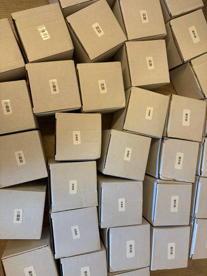 Preserved Flower Epoxy Keychain DIY Set