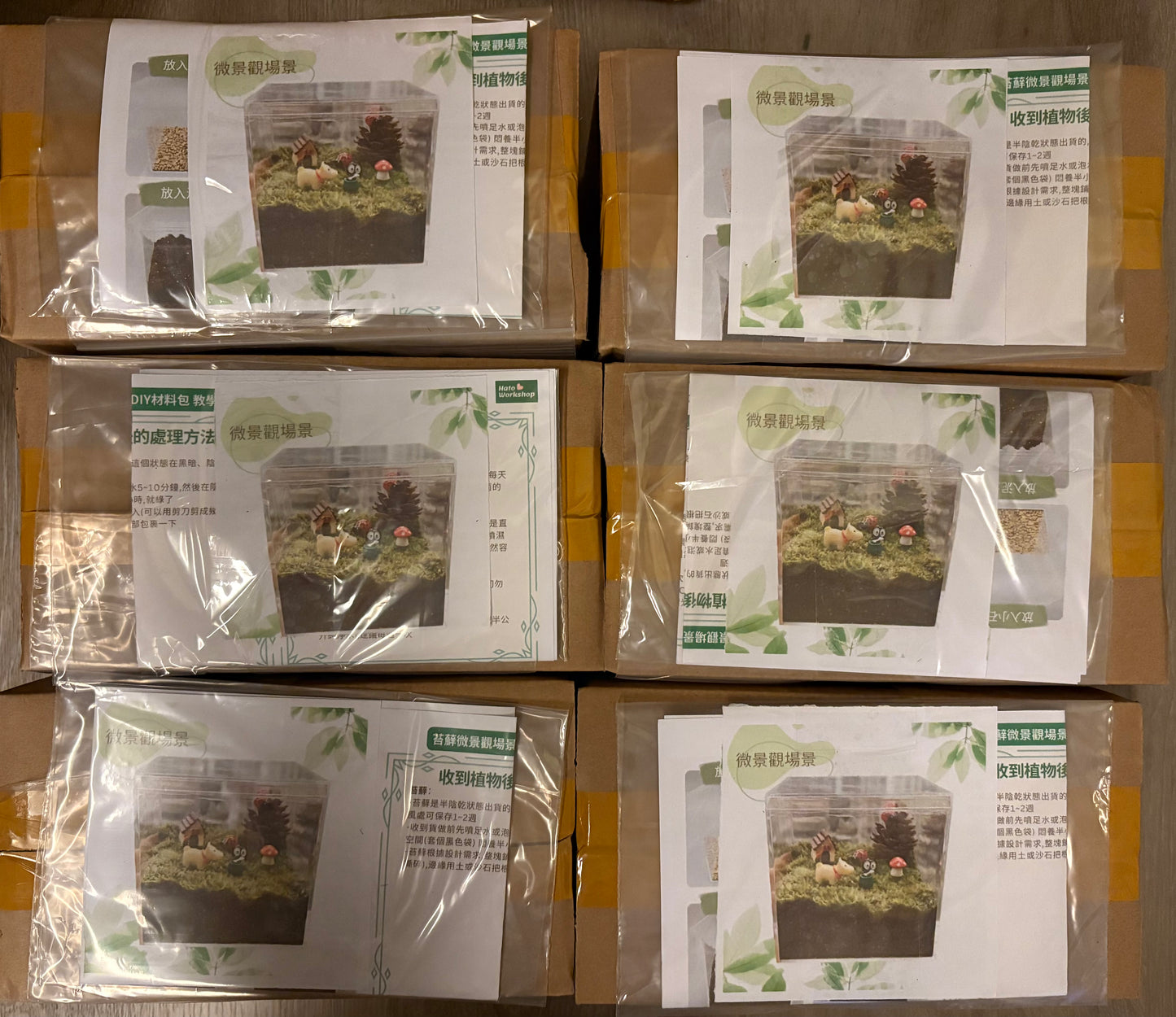 Moss micro landscape scene DIY material package | square box | cute puppy