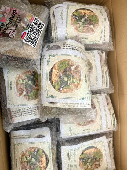 Moss Eco-Bottle DIY Material Kit | My Neighbor Totoro and the Coal Dust Ghost