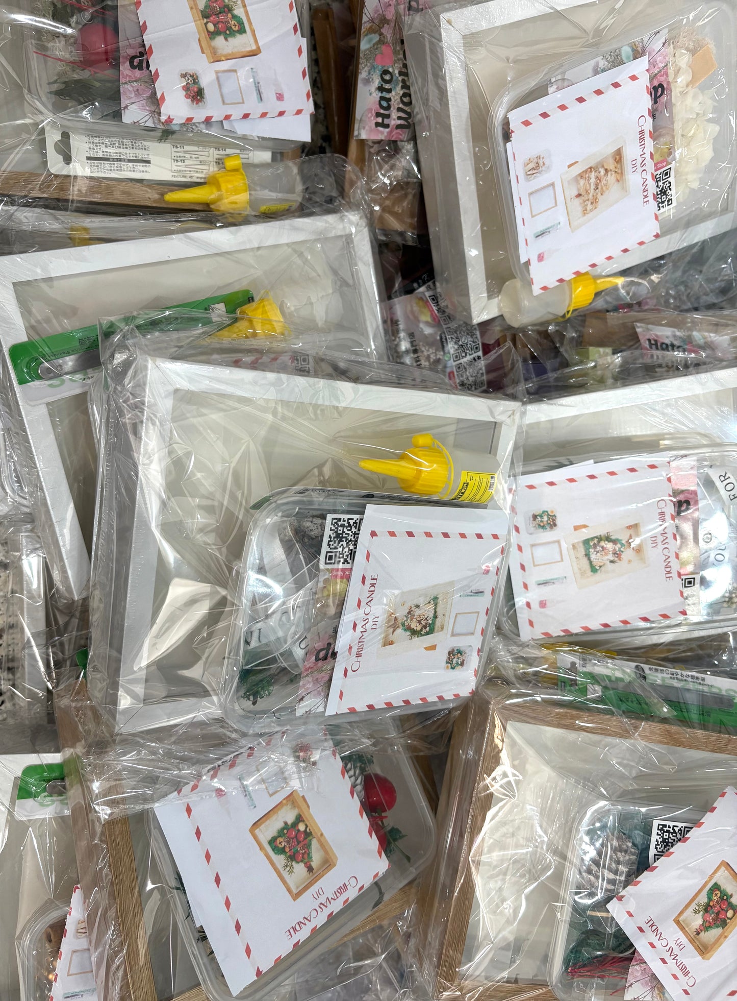 Preserved Flower Painting | Bag of flower