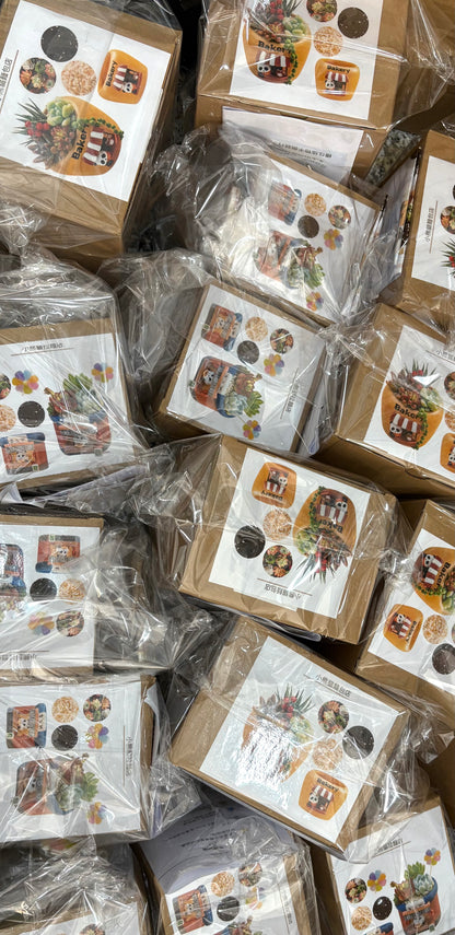 Succulent potted plants | Cute animal models in the shop | Red Panda Ramen Shop