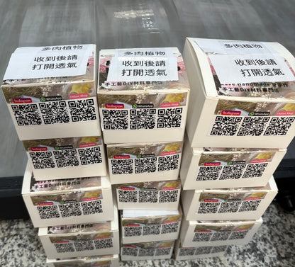 Succulent potted plants | Cute animal models in the shop | Red Panda Ramen Shop