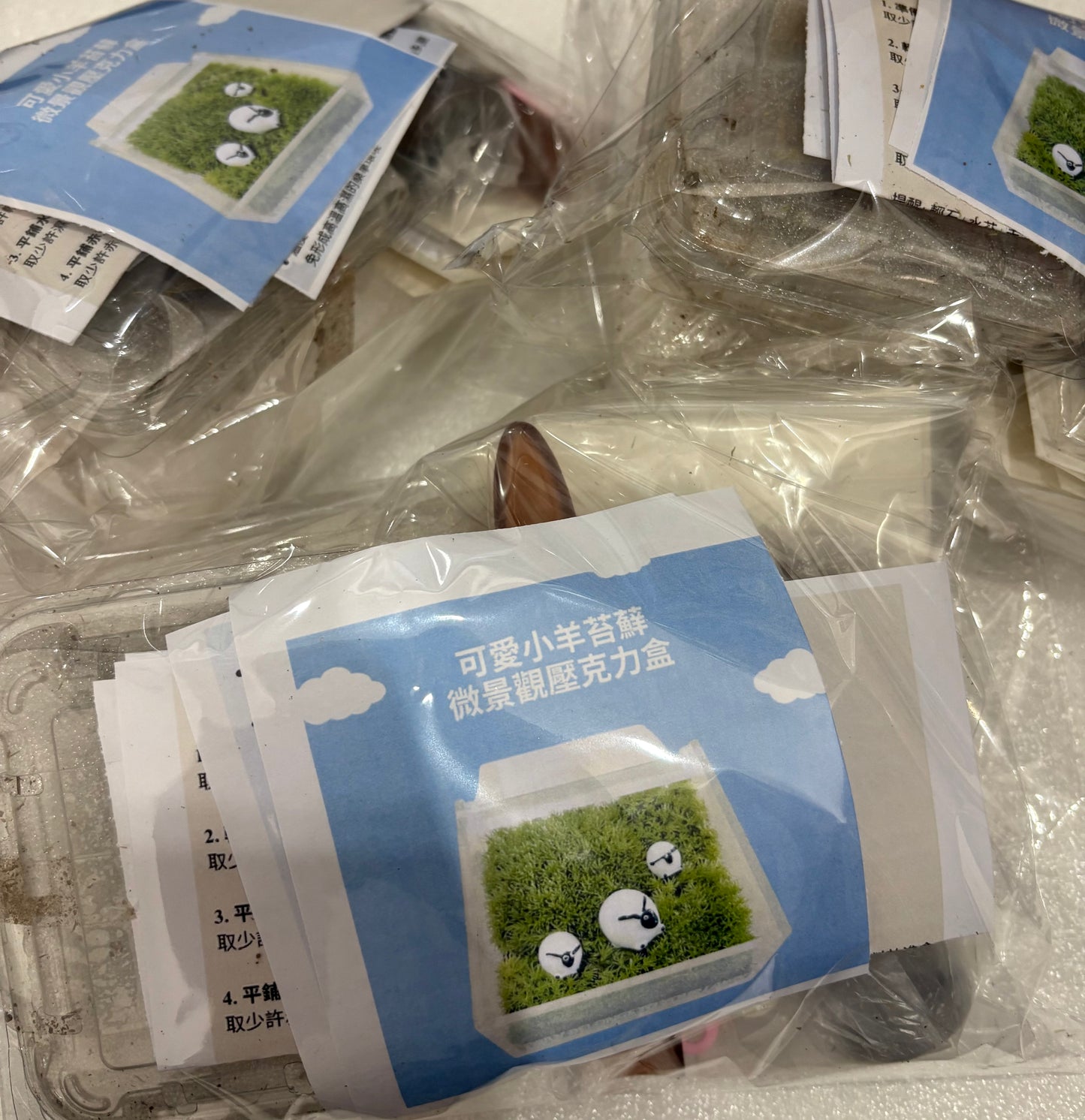 Moss micro-landscape DIY material package | square box | Totoro and coal dung ghost