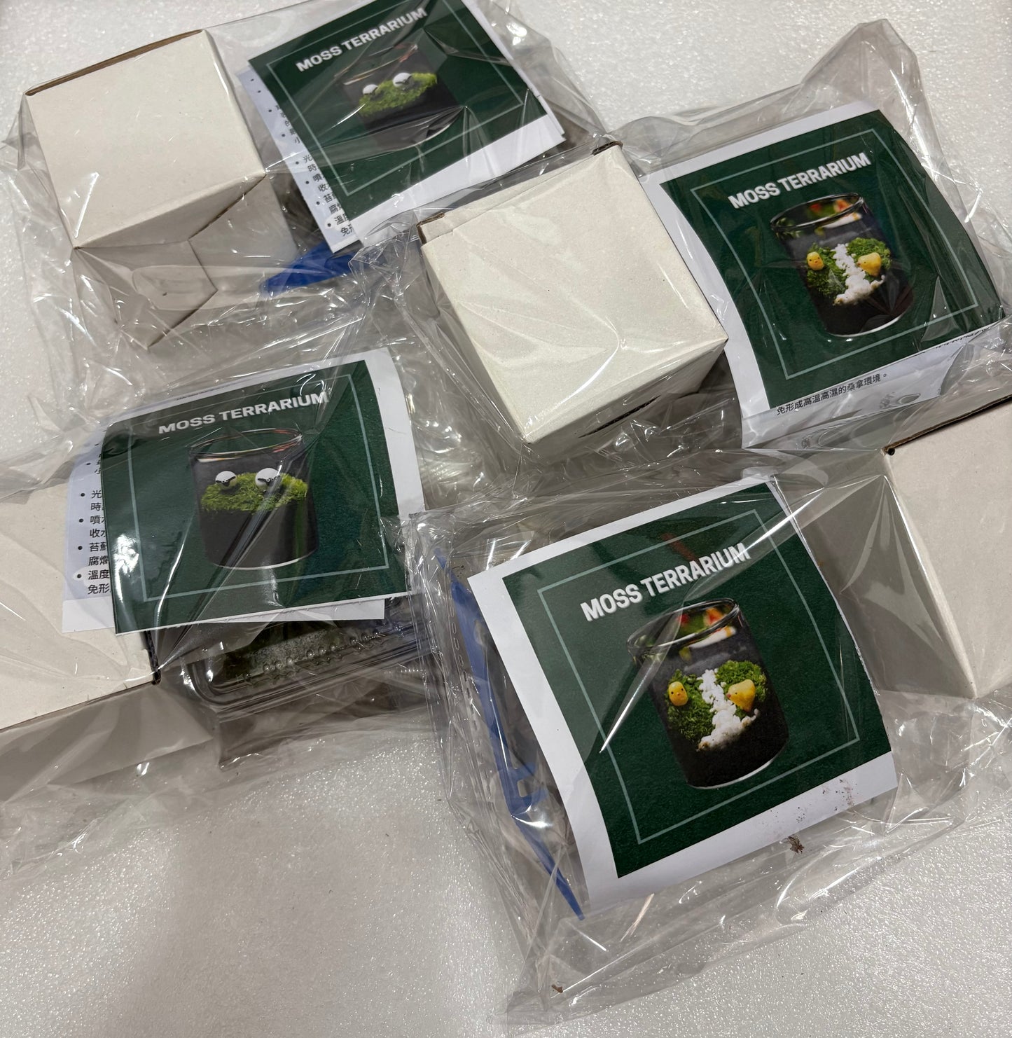 Moss Eco-Bottle DIY Material Kit | Garden and Flower Garden