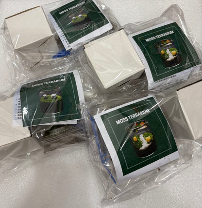 Moss Eco-Bottle DIY Material Kit | Garden and Flower Garden