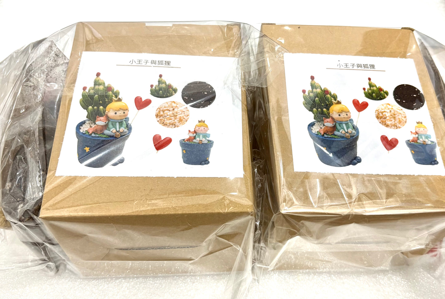 多肉植物盆栽|小王子The Little Prince|小王子與狐狸