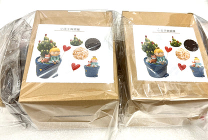 多肉植物盆栽|小王子The Little Prince|小王子與狐狸