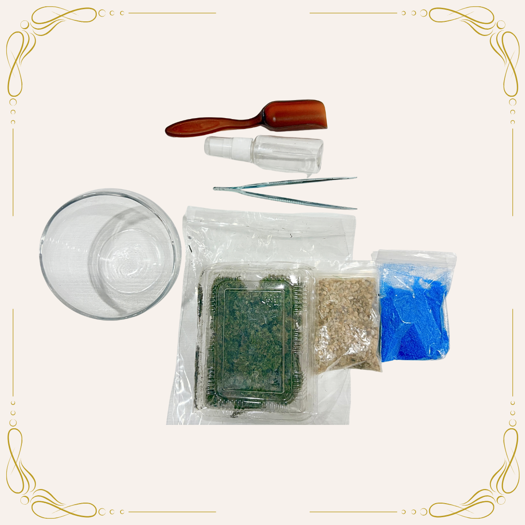 Moss Eco-Bottle DIY Material Kit | Garden and Flower Garden