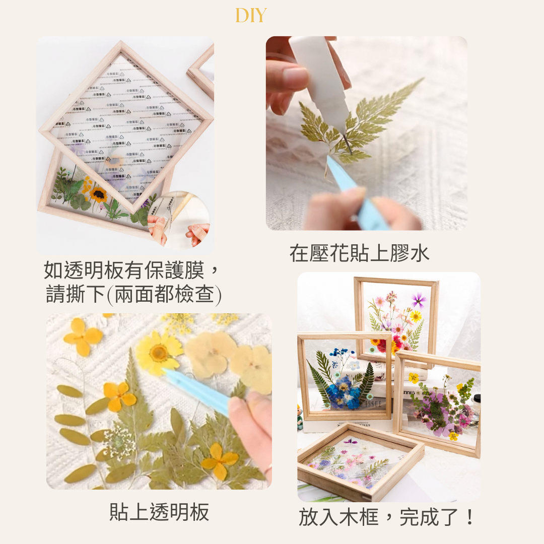 壓花相框|F款