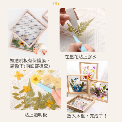 壓花相框|F款