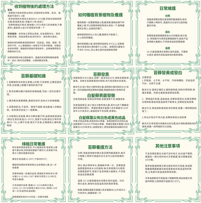 Moss Eco-Bottle DIY Material Kit | My Neighbor Totoro and the Coal Dust Ghost